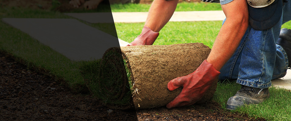 Creswell Landscapers